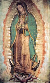 NMP z Guadalupe